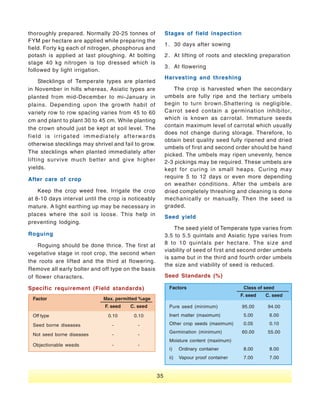 Vegetable Seed Production - India