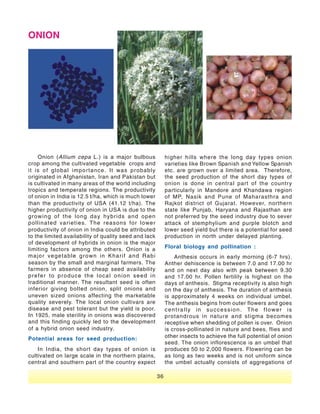 Vegetable Seed Production - India