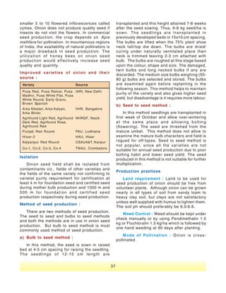 Vegetable Seed Production - India | PDF