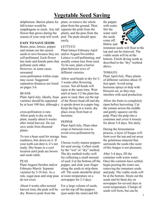 3 
Vegetable Seed Saving 
delphinium. Barrier plants for 
fall/winter would be 
snapdragons or stock. Any tall 
flower that grows during the 
season of your crop will work. 
EASY TO SAVE SEEDS 
Beans, peas, lettuce, pepper 
and tomato are the easiest 
seeds to save because they are 
self-pollinated. Each flower 
has male and female parts that 
pollinate each other. 
However, in some cases, 
unwanted 
cross-pollination within crops 
may occur. Suggested 
separation distances are listed 
on pages 3-6. 
BEANS 
Plant April-July. Ideally, bean 
varieties should be separated 
by at least 100 feet, although c 
cross-pollination is rare. 
Allow pods to dry on the 
plant, usually about 6 weeks 
after initial harvest. Do not 
save seeds from diseased 
plants. 
To test a bean seed for storage 
readiness, bite down on it. If 
your teeth can dent it, it’s not 
ready. Dry beans in a cool 
location until pods are brown 
and seeds rattle. 
PEAS 
Plant August-October and/or 
February-March. Separate 
varieties by 5-10 feet. As a 
rule, sugar peas and snap peas 
do not cross. 
About 4 weeks after normal 
harvest time, the pods will be 
dry. Remove pods from the 
the pepper 
with water. 
Stir the 
water until 
the seeds 
come off. 
Debris and 
immature seeds will float to the 
top and can be removed. The 
viable seeds will be at the 
bottom. Finish drying seeds as 
described in the “dry” method 
above. 
TOMATO 
Plant April-July. Place plants 
of different varieties about 10 
feet apart. Avoid using 
hormone sprays to help with 
blossom set, as they may 
interfere with seed production. 
Allow the fruits to completely 
ripen before harvesting. Cut 
the tomato across the middle 
and gently squeeze out the 
pulp. Place the pulp into a 
container and cover it loosely 
for about 3-4 days. Stir daily. 
During the fermentation 
process, a layer of fungus will 
form over the top and eat away 
the gelatinous material that 
surrounds the seeds (the scent 
of this fungus is not pleasant). 
After 3-4 days, fill the 
container with warm water. 
Once the contents have settled, 
begin pouring the water out, 
removing the immature seeds 
and pulp. The viable seeds will 
be at the bottom. Strain out the 
seeds and let them dry on 
newspaper for several days at 
room temperature. Clumps of 
seeds will form, but can be 
plant, or remove the whole 
plant from the ground. Then 
separate the pods from the 
plants, and the peas from the 
pod. The pods should open 
easily. 
LETTUCE 
Plant lettuce February-April 
and/or August-November. 
Lettuce is self-pollinating, and 
usually comes true from seed. 
To be sure, plant a barrier 
plant between rows of 
different varieties. 
Allow seed heads to dry for 2- 
3 weeks after flowering 
occurs. Not all heads will 
ripen at the same time. Wait 
until at least 1/2 the plant has 
gone to seed, then cut the top 
of the flower head off and dry 
it upside down in a paper bag. 
Keep the bag in a warm, dry 
place away from heat or 
moisture. 
PEPPER 
Plant April-July. Plant other 
crops in between rows to 
avoid cross-pollination by 
bees. 
Choose overly mature peppers 
for seed saving. Collect seeds 
by the “wet” or “dry” method. 
The dry method works well 
for collecting a small amount 
of seed. Cut the bottom off the 
pepper, and slide your finger 
along the seeds to strip them 
off. The seeds should be dried 
at room temperature on a 
newspaper for 2-3 days. 
For a large volume of seeds, 
cut the top off the peppers 
(just under the stem) and fill 
 