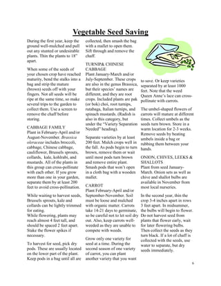 6 
Vegetable Seed Saving 
During the first year, keep the 
ground well-mulched and pull 
out any stunted or undesirable 
plants. Thin the plants to 18” 
apart. 
When some of the seeds of 
your chosen crop have reached 
maturity, bend the stalks into a 
bag and strip the mature 
(brown) seeds off with your 
fingers. Not all seeds will be 
ripe at the same time, so make 
several trips to the garden to 
collect them. Use a screen to 
remove the chaff before 
storing. 
CABBAGE FAMILY 
Plant in February-April and/or 
August-November. Brassica 
oleraceae includes broccoli, 
cabbage, Chinese cabbage, 
cauliflower, Brussels sprouts, 
collards, kale, kohlrabi, and 
mustards. All of the plants in 
this group can cross-pollinate 
with each other. If you grow 
more than one in your garden, 
separate them by at least 200 
feet to avoid cross-pollination. 
While waiting to harvest seeds, 
Brussels sprouts, kale and 
collards can be lightly trimmed 
for eating. 
While flowering, plants may 
reach almost 4 feet tall, and 
should be spaced 2 feet apart. 
Stake the flower spikes if 
necessary. 
To harvest for seed, pick dry 
pods. These are usually located 
on the lower part of the plant. 
Keep pods in a bag until all are 
collected, then smash the bag 
with a mallet to open them. 
Sift through and remove the 
chaff. 
TURNIP& CHINESE 
CABBAGE 
Plant January-March and/or 
July-September. These crops 
are also in the genus Brassica, 
but their species’ names are 
different, and they are root 
crops. Included plants are pak 
(or bok) choi, root turnips, 
rutabaga, Italian turnips, and 
spinach mustards. (Radish is 
also in this category, but 
under the “Variety Separation 
Needed” heading). 
Separate varieties by at least 
200 feet. Mulch crops well in 
the fall. As pods begin to turn 
brown, remove them or wait 
until most pods turn brown 
and remove entire plant. 
Smash pods that won’t open 
in a cloth bag with a wooden 
mallet. 
CARROT 
Plant February-April and/or 
September-November. Soil 
must be loose and mulched 
with organic matter. Carrots 
take 14-21 days to germinate, 
so be careful not to let soil dry 
out. Also, keep carrots well-weeded 
as they are unable to 
compete with weeds. 
Grow only one variety for 
seed at a time. During the 
second season of one variety 
of carrot, you can plant 
another variety that you want 
to save. Or keep varieties 
separated by at least 1000 
feet. Note that the weed 
Queen Anne’s lace can cross-pollinate 
with carrots. 
The umbel-shaped flowers of 
carrots will mature at different 
times. Collect umbels as the 
seeds turn brown. Store in a 
warm location for 2-3 weeks. 
Remove seeds by beating 
umbels inside a bag or 
rubbing them between your 
hands. 
ONION, CHIVES, LEEKS & 
SHALLOTS 
Plant from seed January- 
March. Onion sets as well as 
chive and shallot bulbs are 
available in November from 
most local nurseries. 
In the second year, thin the 
crop 3-4 inches apart in rows 
3 feet apart. In midsummer, 
the bulbs will begin to flower. 
Do not harvest seed from 
plants that flower early, wait 
for later flowering bulbs. 
Then collect the seeds as they 
turn black. If a lot of chaff is 
collected with the seeds, use 
water to separate, but dry 
seeds immediately. 
 