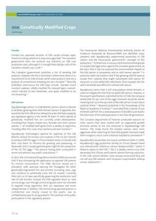 who benefits from gm crops? an industry built on myths 
one Genetically Modified Crops 
continued 
22 | foei 
The Panamanian National Environmental Authority (Centro de 
Incidencia Ambiental de Panama-CIAM) has identified major 
problems with AquaBounty’s experimental production of GM 
salmon and the Panamanian government’s oversight of this 
production.135 Furthermore in January 2014 environmental groups 
in Canada took legal action against the Canadian government, on 
the basis that it had not assessed the environmental impacts of 
the GM salmon in ecosystems and on wild salmon species.136 In 
particular, there are concerns that if fast growing GM fish were to 
escape from captivity they might outcompete wild species for 
resources, or cross breed with wild stocks. Once escaped into the 
wild it would be very difficult to retrieve GM salmon. 
AquaBounty claims that it will only produce sterile females, in 
order to mitigate the risks from escaped GM salmon. However, in 
the project specifications submitted to the US FDA, the company 
stated that 95 per cent of the eggs produced would be sterile, 
meaning that up to five per cent of the GM salmon in each batch 
could be fertile.137 Research published in the Proceedings of the 
National Academy of Sciences138 concluded that a release of just 
60 fertile GM fish into a wild population of 60,000 could lead to 
the extinction of the wild population in less than 40 generations. 
The Canadian Department of Fisheries conducted research on 
Coho salmon that were treated with an engineered growth 
hormone similar to the one produced in AquAdvantage GM 
Salmon. The study found the treated salmon were more 
aggressive when searching for food (the growth hormone made 
them hungrier), and in some instances resorted to cannibalism.139 
AquaBounty’s record does not inspire confidence either. In 2009, 
AquaBounty’s egg production facility on Prince Edward Island 
was infected with Infectious Salmon Anaemia (ISA),140 which it 
failed to report to the FDA.141 ISA is a deadly salmon virus that 
decimated the Chilean and Scottish salmon farming industries. 
In the USA, several retailers have already announced they will 
not sell any GM seafood, with European supermarkets making 
similar statements.142 
Canada 
Canada has approved varieties of GM canola (oilseed rape), 
maize (including sweetcorn), soya and sugar beet. The Canadian 
government does not produce any statistics on GM crop 
production area, although it is thought that 100 per cent of the 
Canadian oilseed crop is GM.129 
The Canadian government publishes a list of pending GM 
products. However, the list is voluntary. Furthermore, there is no 
requirement to list GM animals, while novel products that are a 
product of conventional breeding are also included.130 Recently 
published submissions for GM crops include: ‘stacked’ insect 
resistant soybean; alfalfa modified for reduced lignin content; 
cotton tolerant to two herbicides; and apple modified to be 
non-browning.131 
GM Salmon 
‘AquAdvantage Salmon’ is a GM Atlantic salmon, which is claimed 
to be faster growing than other farmed salmon. If approved, this 
would be the first GM animal allowed to enter the food supply by 
any regulatory agency in the world. At least 35 other species of 
genetically modified fish are currently under development, 
including trout, tilapia, striped bass, flounder and other salmon 
species — all modified with genes from a variety of organisms, 
including other fish, coral, mice, bacteria and even humans.132 
AquaBounty Technologies applied for approval of the GM 
Atlantic salmon for human consumption in the US, but intends 
to produce GM fish eggs in Prince Edward Island in Canada and 
then ship them to Panama for growing and processing. In 
November 2013, Canada gave the green light for the production 
of the GE fish eggs,133 the process having been conducted in 
secret and without any public consultation.134 
In 2013, the US Food and Drug Administration (FDA) announced 
that it was considering the application to approve GM salmon 
for human consumption. The FDA’s decision would set a 
precedent, with approval opening the floodgates for other 
genetically engineered fish and animals (including cows, pigs 
and chickens) to potentially enter the US market. Currently 
there are no US laws specifically governing the production and 
sale of GM animals. Instead, the FDA regulates them as ‘new 
animal drugs,’ even though animal drug laws were not intended 
to regulate living organisms, that can reproduce and move 
independently. In addition, the animal drug approval process is 
confidential and mostly closed to the public, due to 
confidentiality laws for drug products. This severely limits public 
participation in the regulatory process. 
 