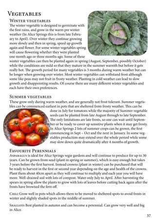 37 
Vegetables 
Winter vegetables 
The winter vegetable is designed to germinate with 
the first rains, and grow in the warm pre winter 
weather (In Alice Springs this is from late Febru-ary 
to April). Over winter they continue growing 
more slowly and then in spring, speed up growth 
again and flower. For some winter vegetables spring 
will cause flowering whether they were planted 
one month ago or three months ago. Some of these 
winter vegetables can then be planted again in spring (August, September, possibly October) 
while the conditions are mild so that they mature in the summer warmth but before it gets 
really hot. The growth period for many vegetables is 3 months during warm weather but can 
be longer when growing over winter. Most winter vegetables can withstand frost although 
some like peas may not fruit in frosty weather. Planting in cold weather can lead to slow 
growth and disappointing results. Of course there are many different winter vegetables and 
each have their own preferences. 
Summer vegetables 
These grow only during warm weather, and are generally not frost tolerant. Summer vegeta-bles 
can be commenced earliest in pots that are sheltered from frosty weather. This can be 
done in July for tomatoes while the majority of Summer vegetable 
seeds can be planted from late August through to late September. 
The only limitations are late frosts, so one can wait until Septem-ber 
or be ready to cover up sensitive plants when it may get frosty. 
In Alice Springs 2 lots of summer crops can be grown, the first 
commencing in Sept – Oct and the next in January. In some veg-etables 
production may extend over the whole period while some 
may slow down quite dramatically after 4 months of growth. 
Favourite Perennials 
Asparagus is ideal for Alice Springs vegie gardens and will continue to produce for up to 30 
years. Can be grown from seed (plant in spring or summer), which is easy enough but takes 
3 years before the first harvest. Instead crowns (plant in winter) can be purchased that will 
be ready to harvest in the first or second year depending on the age and health of the crowns. 
Plant them about 40cm apart as they will continue to multiply and each year you will have 
more. Well-drained soil with lots of compost. Water only July to April. After harvesting the 
spears in spring allow the plants to grow with lots of leaves before cutting back again after the 
frosts have browned the fern off. 
Chili Grow well in pots which allows them to be moved to sheltered spots to avoid frosts in 
winter and slightly shaded spots in the middle of summer. 
Shallots Best planted in autumn and can become a perennial. Can grow very well and big 
in Alice. 
 