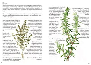 Herbs 
Most herbs are relatively easy and extremely rewarding to grow in arid conditions. 
Can be grown in containers, in herb garden close to the kitchen or amongst the veg-etables 
to help deter pests and attract predators. Most herbs behave similar here as 
they do in other climates. Some, such as rosemary and oregano, prefer more sandy 
soils. 
When harvesting try to resist removing more than a quarter of the plant material 
and allow for some re-growth before repeat harvesting if the plant has been previ-ously 
heavily cropped. 
Basil: The Thai varieties seem to be 
less palatable to grasshoppers. Frost 
tender. Plant September – Feb. Move 
potted planted under shelter 
with full sun to extend your 
crop into winter. Very attrac-tive 
to bees when flower-ing. 
Chives: Plant 
October, Grows 
strongly and self 
seeds. 
Coriander: Plant late 
march to August. Sow 
direct to avoid transplanting 
shock and bolting to seed 
and try to plants some seeds 
every month. Must not be water 
stressed - most importantly in 
warm weather. Can be effected by 
aphids but usually when bolting any-way. 
Retain these plants for hoverfly / 
lady beetle food. 
Dill: Plant august – September, direct 
sowing is good or be very gentle when 
transplanting. Biennial. Plants will 
last longer when grown over 
winter. Loves the warmer 
weather but will seed quickly 
in spring. Some aphid problems 
as per coriander in early 
spring. 
Marjoram: plant 
March, April. Plant Au-gust 
– September. 
Per- ennial and will live 
in the garden for 
many years as 
long as watering is 
adequate. 
Mint: plant August 
–September. Perennial 
– will take off in warm 
weather. Best confined to 
a pot unless you want to all 
over the garden. Some caterpillar 
attack will be experienced. Best 
approach is to trim off, fertilise with 
compost, water and encourage a new 
crop. 
Oregano: plant March, April. 
September. 
Parsley: plant March - April and 
September- October for con-tinuos 
supply. A biennial which 
will last over summer if planted 
in spring. Flat leaved varie-ties 
do well and self seed. 
Popular with hoverflies 
but few pest problems. Very 
good for you! 
Rosemary: take cut-tings 
September – Oc-tober. 
Quite drought 
tolerant when planted 
in the ground. You 
can get upright or 
crawling varieties. Flowers 
popular with bees. Likes 
good drainage but are very 
hardy. 
Sage: Plant August – September. 
Perennial that 
will live 
for years in 
Alice Springs 
gardens. 
Tarragon: 
plant August- 
September. 
Grows well in 
good soil with 
adequate moisture. 
Thyme: Plant August – September. 
Grows very well in Alice and will 
live for years in garden 
soil. Somewhat drought 
tolerant. 
Lemon Grass: Vig-orous 
tropical grass. 
Try to obtain varieties 
which don’t go to 
seed as they 
are better 
quality. 
Native Lemon Grass 
Full sun. Tolerates 
dryness once estab-lished 
but appre-ciates 
occasional 
water. Propagate 
from division or seed. 
50 51 
 