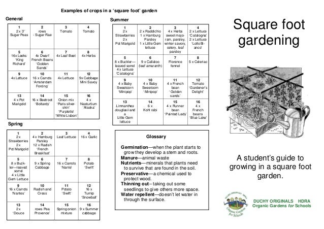 Simple Square Foot Gardening for Schools - Teacher Guide