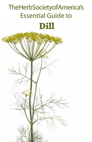 The Herb Societyof America’s 
Essential Guide to 
Dill 
 