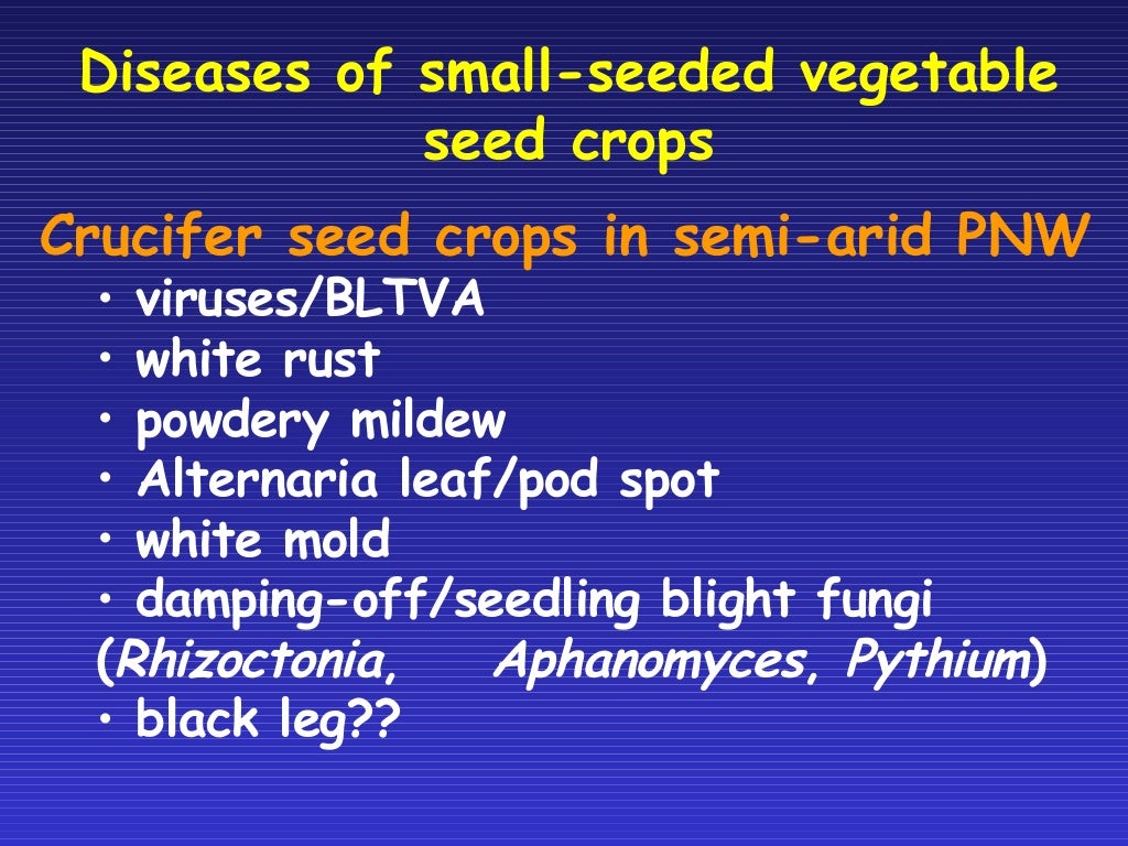 Diseases in Vegetable Seed Crops