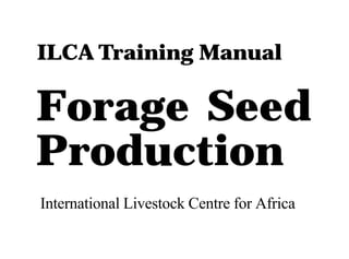 ILCA Training Manual 
Forage Seed 
Production 
International Livestock Centre for Africa 
 