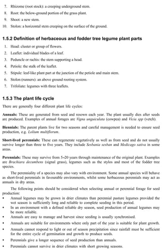 7. Rhizome (root stock): a creeping underground stem. 
8. Root: the below-ground portion of the grass plant. 
9. Shoot: a new stem. 
10. Stolon: a horizontal stem creeping on the surface of the ground. 
1.5.2 Definition of herbaceous and fodder tree legume plant parts 
1. Head: cluster or group of flowers. 
2. Leaflet: individual blades of a leaf. 
3. Peduncle or rachis: the stem supporting a head. 
4. Petiole: the stalk of the leaflet. 
5. Stipule: leaf-like plant part at the junction of the petiole and main stem. 
6. Stolon (runners): an above ground rooting system. 
7. Trifoliate: legumes with three leaflets. 
1.5.3 The plant life cycle 
There are generally four different plant life cycles: 
Annuals: These are generated from seed and resown each year. The plant usually dies after seeds 
are produced. Examples of annual forages are Vigna unguiculata (cowpea) and Vicia spp (vetch). 
Biennials: The parent plants live for two seasons and careful management is needed to ensure seed 
production, e.g. Lolium multiflorum. 
Short-lived perennials: These can regenerate vegetatively as well as from seed and do not usually 
survive longer than three to five years. They include Sesbania sesban and Medicago sativa in some 
areas. 
Perennials: These may survive from 5--20 years through maintenance of the original plant. Examples 
are Brachiara decumbens (signal grass), legumes such as the stylos and most of the fodder tree 
species. 
The perenniality of a species may also vary with environment. Some annual species will behave 
as short-lived perennials in favourable environments, whilst some herbaceous perennials may act as 
annuals in dry areas. 
The following points should be considered when selecting annual or perennial forage for seed 
production: 
· Annual legumes may be grown in drier climates than perennial pasture legumes provided the 
wet season is sufficiently long and reliable to complete seeding in this period. 
· In an environment with a defined reliable dry season, seed production of annual legumes may 
be more reliable. 
· Annuals are easy to manage and harvest since seeding is usually synchronised. 
· Annuals are suitable for environments where only part of the year is suitable for plant growth. 
· Annuals cannot respond to light or out of season precipitation since rainfall must be sufficient 
for the entire cycle of germination and growth to produce seeds. 
· Perennials give a longer sequence of seed production than annuals. 
· Perennials cannot survive in drier climates with short growing seasons. 
 