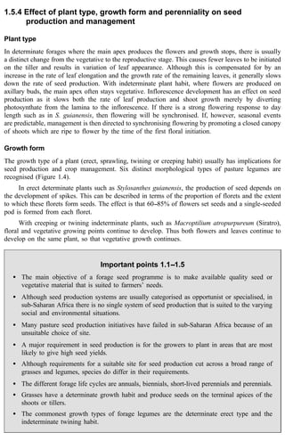 1.5.4 Effect of plant type, growth form and perenniality on seed 
production and management 
Plant type 
In determinate forages where the main apex produces the flowers and growth stops, there is usually 
a distinct change from the vegetative to the reproductive stage. This causes fewer leaves to be initiated 
on the tiller and results in variation of leaf appearance. Although this is compensated for by an 
increase in the rate of leaf elongation and the growth rate of the remaining leaves, it generally slows 
down the rate of seed production. With indeterminate plant habit, where flowers are produced on 
axillary buds, the main apex often stays vegetative. Inflorescence development has an effect on seed 
production as it slows both the rate of leaf production and shoot growth merely by diverting 
photosynthate from the lamina to the inflorescence. If there is a strong flowering response to day 
length such as in S. guianensis, then flowering will be synchronised. If, however, seasonal events 
are predictable, management is then directed to synchronising flowering by promoting a closed canopy 
of shoots which are ripe to flower by the time of the first floral initiation. 
Growth form 
The growth type of a plant (erect, sprawling, twining or creeping habit) usually has implications for 
seed production and crop management. Six distinct morphological types of pasture legumes are 
recognised (Figure 1.4). 
In erect determinate plants such as Stylosanthes guianensis, the production of seed depends on 
the development of spikes. This can be described in terms of the proportion of florets and the extent 
to which these florets form seeds. The effect is that 60--85% of flowers set seeds and a single-seeded 
pod is formed from each floret. 
With creeping or twining indeterminate plants, such as Macroptilium atropurpureum (Siratro), 
floral and vegetative growing points continue to develop. Thus both flowers and leaves continue to 
develop on the same plant, so that vegetative growth continues. 
Important points 1.1--1.5 
· The main objective of a forage seed programme is to make available quality seed or 
vegetative material that is suited to farmers’ needs. 
· Although seed production systems are usually categorised as opportunist or specialised, in 
sub-Saharan Africa there is no single system of seed production that is suited to the varying 
social and environmental situations. 
· Many pasture seed production initiatives have failed in sub-Saharan Africa because of an 
unsuitable choice of site. 
· A major requirement in seed production is for the growers to plant in areas that are most 
likely to give high seed yields. 
· Although requirements for a suitable site for seed production cut across a broad range of 
grasses and legumes, species do differ in their requirements. 
· The different forage life cycles are annuals, biennials, short-lived perennials and perennials. 
· Grasses have a determinate growth habit and produce seeds on the terminal apices of the 
shoots or tillers. 
· The commonest growth types of forage legumes are the determinate erect type and the 
indeterminate twining habit. 
 
