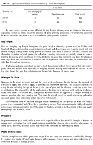Table 1.1. Effect of defoliation on head development of Callide Rhodes grass. 
Cleaning cut 
Seed heads 
No. emerging/m2 
per day Days to emerge Final no./m2 
Lenient 8 30 240 
Severe <5 40 290 
In cases where grasses are not affected by day length, cleaning cuts are timed so that crops, 
especially in rain-fed areas, make the best use of good growing conditions. For others the cut must 
be timed to enable the plant to receive maximum photoperiodic stimulus. 
Day length 
Due to changing day length throughout the year, tropical short-day grasses such as Callide and 
Samford Rhodes, Bothriocloa insculpta (creeping blue) and Andropogon spp (Gamba grass) will not 
flower strongly during warm, sunny periods no matter how much it rains at the time. Because the 
flowering behaviour of such grasses is inflexible, cleaning cuts must be carefully timed to ensure 
that the developing crop can flower properly. It should be noted that the latest safe dates for cleaning 
cuts vary from one environment to another and the important factor, therefore, is to determine the 
safe date for each environment. 
If cleaning cuts are carried out too early, short-day grasses will not flower earlier but will simply 
grow taller and bulkier with more risk of lodging, thereby making them difficult to harvest. If, on 
the other hand, they are delayed plants may flower later because of longer days. 
Nitrogen fertiliser 
Nitrogen is the most important nutrient for grass seed production. To the farmer, the amount of 
nitrogen to apply and when to apply it constitute an important decision. This decision depends on 
many factors including the age of the crop, the time of year and the climatic conditions at the time 
of application. The main effect of the application of fertiliser is to increase seed yield by producing 
more seed heads. To achieve this, nitrogenous fertiliser should be applied as a single dressing as 
soon as possible after the cleaning cut. This must be spread evenly to avoid alternating yellowish 
and dark green strips indicating under- and over-fertilisation. 
The optimum rate of fertiliser nitrogen varies depending on the species or even the variety 
grown. A recommended ‘‘safe’’ level for a typical crop such as Panicum maximum is 100 kg elemental 
nitrogen per hectare, equivalent to 220 kg urea per hectare, applied at the beginning of the crop cycle 
(Humphreys and Riveros, 1986). 
Irrigation 
Irrigation ensures good seed yields in areas with unpredictable or low rainfall. Drought is known to 
reduce seed production but with good moisture availability, drought stress is often eliminated. In 
some cases, however, moisture stress can be used to stimulate the reproductive phase. 
Pests and diseases 
Various caterpillars can affect grass seed crops. Rats and mice can also cause considerable damage 
by cutting ripe heads off and birds damage inflorescences. Ergots, smuts and virus infections are 
important diseases of forage grasses. 
 