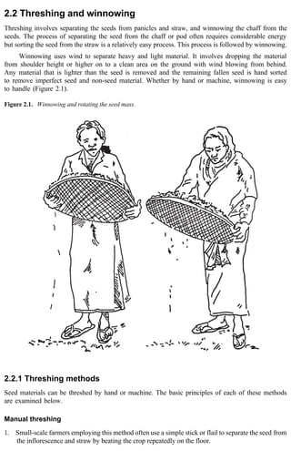2.2 Threshing and winnowing 
Threshing involves separating the seeds from panicles and straw, and winnowing the chaff from the 
seeds. The process of separating the seed from the chaff or pod often requires considerable energy 
but sorting the seed from the straw is a relatively easy process. This process is followed by winnowing. 
Winnowing uses wind to separate heavy and light material. It involves dropping the material 
from shoulder height or higher on to a clean area on the ground with wind blowing from behind. 
Any material that is lighter than the seed is removed and the remaining fallen seed is hand sorted 
to remove imperfect seed and non-seed material. Whether by hand or machine, winnowing is easy 
to handle (Figure 2.1). 
Figure 2.1. Winnowing and rotating the seed mass. 
2.2.1 Threshing methods 
Seed materials can be threshed by hand or machine. The basic principles of each of these methods 
are examined below. 
Manual threshing 
1. Small-scale farmers employing this method often use a simple stick or flail to separate the seed from 
the inflorescence and straw by beating the crop repeatedly on the floor. 
 