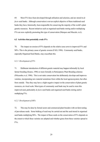 69. Most FVs have been developed through utilisation and selection, and are stored in de 
facto seed banks. Although conservation is not an explicit objective of these traditional seed 
banks they have, historically, been responsible for conserving the majority of the world’s plant 
genetic resources. Recent initiatives such as organised seed banks storing and/or multiplying 
FVs are now explicitly promoting this type of conservation (Marques and Macedo, n.d.). 
29 
6.2 Activities that potentially erode FVs 
70. The impact on erosion of FVs depends on the relative area sown to improved FVs and 
MVs. This is the primary cause of genetic erosion (FAO, 1996). Community seed banks, 
especially Organised Seed Banks, may exacerbate this. 
6.2.1 Development of FVs 
71. Deliberate introduction of different genetic material may happen informally by local 
farmer breeding (Soares, 1996) or more formally in Participatory Plant Breeding schemes 
(Witcombe et al, 1996). This is not static conservation but deliberately develops and improves 
varieties, incorporating new material sometimes from within the local agroecosystem, but often 
from outside. Thus they may have a slight negative impact on the conservation of plant genetic 
resources, at a local scale. Most types of community seed bank may be used to store this 
improved seed, particularly de facto seed banks and organised seed banks storing and/or 
multiplying FVs. 
6.2.2 Development of MVs 
72. This may be done by formal sector and commercial plant breeders with on-farm testing 
of pre-release seeds. Some bulking of seed may be carried out and the seed stored in organised 
seed banks multiplying MVs. The impact of these seeds on the conservation of FVs depends on 
the extent to which these varieties are adopted and whether genes from these varieties spread to 
FVs. 
 