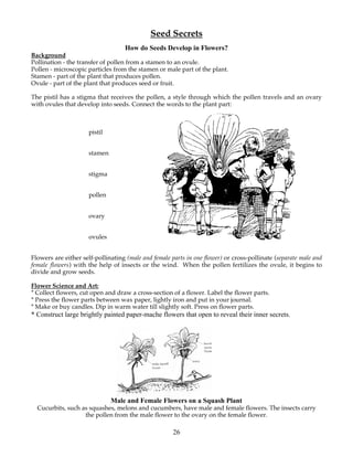 Seed Secrets 
How do Seeds Develop in Flowers? 
Background 
Pollination - the transfer of pollen from a stamen to an ovule. 
Pollen - microscopic particles from the stamen or male part of the plant. 
Stamen - part of the plant that produces pollen. 
Ovule - part of the plant that produces seed or fruit. 
The pistil has a stigma that receives the pollen, a style through which the pollen travels and an ovary 
with ovules that develop into seeds. Connect the words to the plant part: 
26 
pistil 
stamen 
stigma 
pollen 
ovary 
ovules 
Flowers are either self-pollinating (male and female parts in one flower) or cross-pollinate (separate male and 
female flowers) with the help of insects or the wind. When the pollen fertilizes the ovule, it begins to 
divide and grow seeds. 
Flower Science and Art: 
* Collect flowers, cut open and draw a cross-section of a flower. Label the flower parts. 
* Press the flower parts between wax paper, lightly iron and put in your journal. 
* Make or buy candles. Dip in warm water till slightly soft. Press on flower parts. 
* Construct large brightly painted paper-mache flowers that open to reveal their inner secrets. 
Male and Female Flowers on a Squash Plant 
Cucurbits, such as squashes, melons and cucumbers, have male and female flowers. The insects carry 
the pollen from the male flower to the ovary on the female flower. 
 
