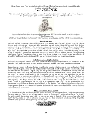 Read: Breed Your Own Vegetables by Carol Deppe. Chelsea Green – an inspiring guidebook for 
breeding science and creativity 
Breed a Better Pickle 
"On a hot day in Virginia, I know nothing more comforting than a fine spiced pickle, brought up trout-like from 
the sparkling depths of the aromatic jar below the stairs of Aunt Sally's cellar." 
Thomas Jefferson 
'5,200,000 pounds of pickles are consumed annually in the US. That's nine pounds per person per year.' 
NYFoodMuseum.org 
'Pickles are to New Yorkers what Apple Pie is to Americans - an archetypal food that reflects our unique history.' 
Cucumber Lore 
Cucumis sativus: Cucumbers were cultivated in India as long as 3000 years ago between the Bay of 
Bengal and the towering Himalayas. The cucumber was carried westward from India long before 
written history as is indicated by the profusion of ancient names for it in: Aryan, Greek, Latin, Arabic, 
Armenian, and others. Cucumbers are mentioned twice in the Torah (Numbers 11:5 and Isaiah 1:8). 
My Great Grandmother Rogosa, from Rujahn, Poland, kept a large pickle barrel in her pantry, as did 
many of America's pioneering generation and sailors aboard ship to prevent scurvy. Under frontier 
conditions, Eastern European winters, or long days at sea, pickles were the only green, succulent food 
available. Traditional Jewish kosher pickles use no vinegar, no sugar and no packaged spices. 
Selective Seed-Saving Guidelines 
For thousands of years farmers have been selectively breeding plants to combine the best traits of the 
parents. Plant several varieties of your favorite cucumbers, and try your hand at crop improvement. 
Cucumbers are insect pollinated. Isolate by at least a quarter mile to prevent cross-pollination. Plant 
about three feet apart. Taste-test the first cucumber from each plant. Rogue out the less flavorful and 
the 50% that are less robust. Keep in only the best plants. Remove the cucumbers or flowers from the 
remaining plants that may have cross-pollinated with the less desirable plants. Allow only the 
cucumbers to remain on the vines of the best plants. Do not harvest the best cucumber, but let the 
cucumbers grow as mature as possible, into swollen, yellowish brown fruits, until the vines die back or 
it frosts. Harvest and allow the mature cucumbers to cure in a dry, cool place for about 5 weeks for 
after-ripening. This helps mature the seed. Cut the fruits in half. Scoop out the seeds and add some 
water. Allow to lightly ferment for 2-3 days in a warm place, stir daily. The gel on the seeds will 
ferment off, and the heavier healthy seed will sink to the bottom. Pour off floating pulp and flat seeds. 
Strain out the heavier seed from the bottom. Remove these seeds immediately and rinse with fresh 
water. Dry seeds on a screen. 
My Aunt Esther's Pickle Recipe 
'Cut the ends a little bit. You hev to hev dill, garlic and if you can, hev cherry leaves. (black currant or grape 
leaves are good too) If you can hev, it's very good for people. In the winter it's without cherry leaves. Put the dill, 
the garlic, and the leaves in the water. Salt - as much as you want in the water. Cold water, not warm but cold 
water. Put the pickles in a jar, or whatever you hev, even in a dish. Cover with something to keep the pickles 
under the water of course. In three, four days it's very good. 
38 
' 
 