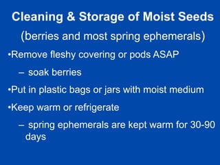 Cleaning & Storage of Moist Seeds 
(berries and most spring ephemerals) 
• Remove fleshy covering or pods ASAP 
– soak berries 
• Put in plastic bags or jars with moist medium 
• Keep warm or refrigerate 
– spring ephemerals are kept warm for 30-90 
days 
 