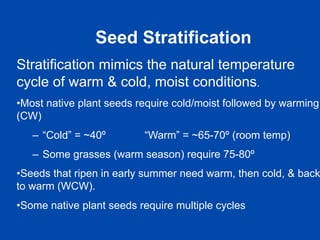 Seed Stratification 
Stratification mimics the natural temperature 
cycle of warm & cold, moist conditions. 
• Most native plant seeds require cold/moist followed by warming 
(CW) 
– “Cold” = ~40º “Warm” = ~65-70º (room temp) 
– Some grasses (warm season) require 75-80º 
• Seeds that ripen in early summer need warm, then cold, & back 
to warm (WCW). 
• Some native plant seeds require multiple cycles 
 