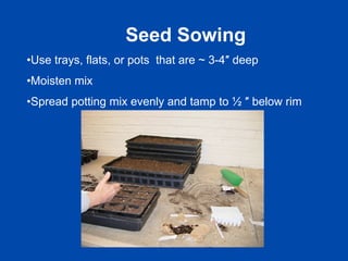 Seed Sowing 
• Use trays, flats, or pots that are ~ 3-4″ deep 
• Moisten mix 
• Spread potting mix evenly and tamp to ½ ″ below rim 
 