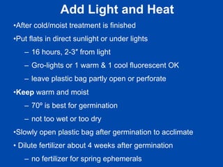 Add Light and Heat 
• After cold/moist treatment is finished 
• Put flats in direct sunlight or under lights 
– 16 hours, 2-3″ from light 
– Gro-lights or 1 warm & 1 cool fluorescent OK 
– leave plastic bag partly open or perforate 
• Keep warm and moist 
– 70º is best for germination 
– not too wet or too dry 
• Slowly open plastic bag after germination to acclimate 
• Dilute fertilizer about 4 weeks after germination 
– no fertilizer for spring ephemerals 
 