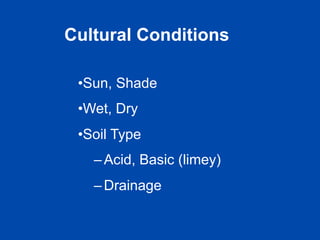 Cultural Conditions 
• Sun, Shade 
• Wet, Dry 
• Soil Type 
– Acid, Basic (limey) 
– Drainage 
 