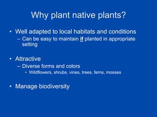 Why plant native plants? 
• Well adapted to local habitats and conditions 
– Can be easy to maintain if planted in appropriate 
setting 
• Attractive 
– Diverse forms and colors 
• Wildflowers, shrubs, vines, trees, ferns, mosses 
• Manage biodiversity 
 