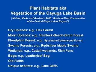 Plant Habitats aka 
Vegetation of the Cayuga Lake Basin 
( Mohler, Marks and Gardescu 2006 “Guide to Plant Communities 
of the Central Finger Lakes Region”) 
Dry Uplands: e.g., Oak Forest 
Moist Uplands: e.g., Hemlock-Beech-Birch Forest 
Floodplain Forest: e.g., Sycamore-Cottonwood Forest 
Swamp Forests: e.g., Red/silver Maple Swamp 
Wetlands: e.g., Cattail wetlands, Rich Fens 
Bogs: e.g., Leatherleaf Bog 
Old Fields 
Unique habitats: e.g., Lake Cliffs 
 