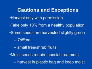 Cautions and Exceptions 
• Harvest only with permission 
• Take only 10% from a healthy population 
• Some seeds are harvested slightly green 
– Trillium 
– small tree/shrub fruits 
• Moist seeds require special treatment 
– harvest in plastic bag and keep moist 
 