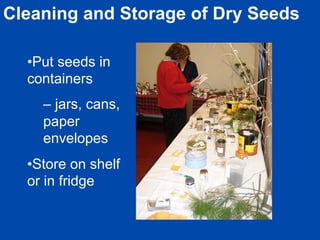 Cleaning and Storage of Dry Seeds 
• Put seeds in 
containers 
– jars, cans, 
paper 
envelopes 
• Store on shelf 
or in fridge 
 