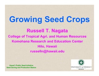 Growing Seed Crops 
Russell T. Nagata 
College of Tropical Agri. and Human Resources 
Komohana Research and Education Center 
Hawai’i Public Seed Initiative 
Seed Saving and Production Basics 
Hilo, Hawaii 
russelln@hawaii.edu 
 