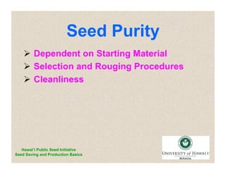 Seed Purity 
 Dependent on Starting Material 
 Selection and Rouging Procedures 
 Cleanliness 
Hawai’i Public Seed Initiative 
Seed Saving and Production Basics 
 