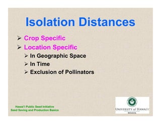 Isolation Distances 
 Crop Specific 
 Location Specific 
 In Geographic Space 
 In Time 
 Exclusion of Pollinators 
Hawai’i Public Seed Initiative 
Seed Saving and Production Basics 
 