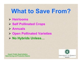 What to Save From? 
 Heirlooms 
 Self Pollinated Crops 
 Annuals 
 Open Pollinated Varieties 
 No Hybrids Unless… 
Hawai’i Public Seed Initiative 
Seed Saving and Production Basics 
 