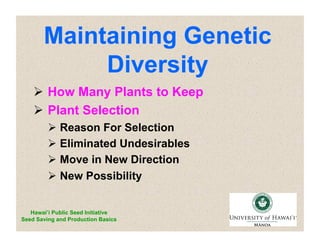 Maintaining Genetic 
Diversity 
 How Many Plants to Keep 
 Plant Selection 
 Reason For Selection 
 Eliminated Undesirables 
 Move in New Direction 
 New Possibility 
Hawai’i Public Seed Initiative 
Seed Saving and Production Basics 
 