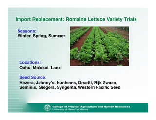 Import Replacement: Romaine Lettuce Variety Trials 
Seasons:! 
Winter, Spring, Summer! 
Locations:! 
Oahu, Molokai, Lanai! 
Seed Source:! 
Hazera, Johnnyʼs, Nunhems, Orsetti, Rijk Zwaan, 
Seminis, Siegers, Syngenta, Western Pacific Seed ! 
 