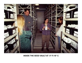 INSIDE THE SEED VAULT AT 0° F/-18° C 
 