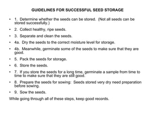 GUIDELINES FOR SUCCESSFUL SEED STORAGE 
• 1. Determine whether the seeds can be stored. (Not all seeds can be 
stored successfully.) 
• 2. Collect healthy, ripe seeds. 
• 3. Separate and clean the seeds. 
• 4a. Dry the seeds to the correct moisture level for storage. 
• 4b. Meanwhile, germinate some of the seeds to make sure that they are 
good. 
• 5. Pack the seeds for storage. 
• 6. Store the seeds. 
• 7. If you store the seeds for a long time, germinate a sample from time to 
time to make sure that they are still good. 
• 8. Prepare the seeds for sowing: Seeds stored very dry need preparation 
before sowing. 
• 9. Sow the seeds. 
While going through all of these steps, keep good records. 
