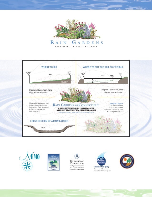 Connecticut Rain Gardens Manual A Design Guide for Homeowners