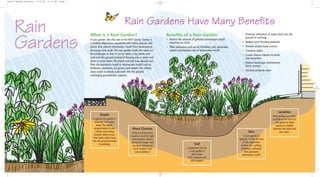 Rain Gardens Have Many Benefits 
Size 
A rain garden is 
typically 5-10% the size 
of the impervious 
surface (ex. rooftop, 
driveway, walkway) 
that generates 
stormwater runoff. 
Depth 
A typical rain garden is 
between 4-8 inches 
deep. This depth, 
proportionate to the 
surface area being 
drained, helps ensure 
that water soaks back 
into the ground instead 
of ponding. 
Plant Choices 
Choose native plants 
based on need for light 
and moisture. Native 
plants live longer and 
are more tolerant of 
local weather and 
soil conditions! 
Location 
Rain gardens are often 
located at the end of a 
roof gutter or drain 
spout as a buffer 
between the lawn and 
the street. 
Soil 
A good soil mix for 
a rain garden is 
60% sand, 
20% compost and 
20% topsoil. 
Rain 
Gardens What is a Rain Garden? 
A rain garden, like this one at the MOT Senior Center, is 
a shallow depression vegetated with native grasses and 
plants that collects stormwater runoff from downspouts, 
driveways and roads. The rain garden holds the water on 
the landscape so that it can be taken in by plants and 
soak into the ground instead of flowing into a street and 
down a storm drain. The plants and soil trap, absorb and 
filter the pollutants found in stormwater runoff such as 
fertilizers, pesticides, oil, grease and metals. This allows 
clean water to slowly soak back into the ground 
recharging groundwater supplies. 
Benefits of a Rain Garden 
• Reduce the amount of polluted stormwater runoff 
reaching our rivers 
• Filter pollutants such as oil, fertilizers, salt, pesticides, 
metals and bacteria out of stormwater runoff 
• Promote infiltration of water back into the 
ground to recharge 
• Reduce local flooding potential 
• Prevent stream bank erosion 
• Conserve water 
• Create diverse habitat for birds 
and butterflies 
• Reduce landscape maintenance 
(time, money) 
• Increase property value 
Rain Garden Brochure 8/31/06 5:51 AM Page 1 
 