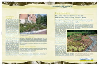 LYNN-9624-Fall07Insert 10/24/07 3:16 PM Page 1 
LYNN-9624-FALL 2007 Insert 
RAIN GARDENS 
Helping the environment while 
enhancing the beauty of your yard 
Rainwater provides us with drinking water and 
maintains flowing streams and rivers. In urban 
environments, rain runoff from our roofs, patios, 
driveways and streets carries with it pollutants such as 
fertilizers, automobile chemicals, pesticides and animal 
waste. This runoff flows into our local waterways. The 
most pervasive pollutants in the Lynnhaven River 
come from our homes, neighborhoods, and commercial 
sites. The urbanization of Virginia Beach and the 
Lynnhaven watershed leaves us with less forested land 
and with an increase in 
impervious cover such as 
walkways, roads and roofs. 
This increases the amount of 
untreated storm water runoff 
that is being carried directly to 
the Lynnhaven and its tributary 
streams. Building a rain garden 
is one thing every home owner 
can do to intercept this 
contaminated runoff before it 
makes its way into our 
waterways. Rain Gardens help 
to landscape your home or 
business and also to improve 
environmental water quality. 
lynnhavenrivernow.org 
Building a rain garden is easier 
than you may think. The goal is 
to enhance your present 
landscape design with an 
attractive bed of flowers and 
shrubs that also serves as a 
bioretention zone capturing 
rainwater and any pollutants 
hitchhiking along. This guide will help you design 
your bed with a location in mind that will collect 
rainwater runoff, trap it for a short period, and filter its 
pollutants before they reach the Lynnhaven River. 
Compared to a conventional lawn, a rain garden allows 
about 30% more water to be soaked into the ground 
and filtered. 
Rain Gardens help the environment while enhancing 
the beauty of your yard and neighborhood. They create 
habitats that attract birds, butterflies and other wildlife. 
What better way to improve your home or business? 
Let’s get started! 
PREPARING 
THE BED 
After Miss Utility marks the utility 
lines on your property, you can begin 
to dig. First, test how fast the water 
drains in the area where you wish to 
build your rain garden by digging a 
hole 6 inches wide and 18 inches deep. 
Fill the hole with water and observe 
how long it takes for the water to drain 
into the soil. If the water has not drained 
out in 48-72 hours, then you will need to 
amend your soil or choose another 
location for your rain garden. If the 
water has drained completely within 48 
hours, you need only excavate six 
inches for water to pool and an 
additional three inches for a mulch 
layer. The addition of plants will 
provide sufficient drainage. 
If your soil did not pass the drainage 
test, you must dig a deeper rain 
garden. It should be as deep as 
possible, not exceeding three feet. Be 
sure to dispose of the excavated soil 
properly to prevent run-off. Fill the 
hole with a blend of 50% sand, 25% 
leaf compost, and 25% clay-free 
topsoil. Ensure the soil you purchase 
has not been sterilized. Due to the 
popularity of rain gardens, some local 
garden centers sell this blend pre-mixed. 
Be sure to leave room for a 3- 
inch mulch layer and a 6-inch pooling 
area on top. (If your drainage is really 
poor, you may also want to add several 
inches of gravel on the bottom.) The 
excavated pit should be flat, not bowl-shaped, 
so it will hold more water. 
This Rain Garden demonstration area, located at the Virginia Tech/ 
Hampton Roads Agricultural Research and Extension Center in Virginia 
Beach, Virginia, is open to the public. For more information on the site, go 
to: http://arecs.vaes.vt.edu/arec.cfm?webname=hampton 
Photo by Joe Rule located at ODU. 
PLANT SELECTION 
Native plants are ideal. They are easily grown and are a natural part of the 
ecosystem. Plants should be both drought and moisture tolerant. The Bioretention 
Manual from Prince George’s County, Maryland, contains an excellent rain garden 
plant list for our region of the country. For the list and other rain garden information 
go to: 
http://www.co.pg.md.us/Government/AgencyIndex/DER/ESD/Bioretention 
/bioretention.asp 
MORE INFORMATION 
The Virginia Department of Forestry also produces excellent materials on Rain 
Gardens with sample garden designs and an extensive plant list. You can 
download those materials from their website at: 
http://www/dof.virginia.gov/rfb/rain-gardens.shtml 
The Virginia Cooperative Extension has also produced a pamphlet on rain 
gardens that provides excellent plant choices. To access this publication go to: 
http://www.ext.vt.edu/pubs/waterquality/426-043/426-043.html 
 