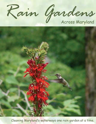 Across Maryland ain ardens 
Cleaning Maryland’s waterways one rain garden at a time. 
 