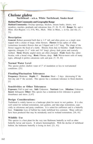 162 
Chelone glabra 
Turtlehead - a.k.a. White Turtlehead, Snake-head 
Habitat/Plant Community and Geographic Range 
Habitat/Community: Swamp openings, thickets, stream banks, shores, wet 
meadows, marshes, peatlands and calcareous fens. [7, 16, 35, 41] Range: Nc. and e. 
Minn. (Eco-Region: 1-3, 5-9), Wis., Mich. Nfld. to Minn., s. to Ga. and Ala. [7, 
21] 
Description 
General: Robust perennial herb that is 1-3'' tall, and often grows as a single stem 
topped with a cluster of large, white flowers. Flower: It has spikes of white 
(sometimes lavender) flowers that are 2-lipped and 1-1½'' long. The shape of the 
flower suggests the head of a turtle. Blooms from July to October. Leaf: Narrow, 
opposite, elongate (½-1'' wide and 3-6'' long), glossy, dark green and coarsely 
toothed. Stem: Bluntly angled stems are often clumped. Fruit: Seeds flat, subor-bicular, 
with a broad wing. Root: Fibrous, deep. Soil: Wet-to-moist soils of many 
types, although it prefers calcareous soils and peat. [7, 35, 41] 
Normal Water Level 
This species prefers shallow water of 3'' of inundation or less to wet/saturated 
conditions. [21] 
Flooding/Fluctuation Tolerances 
Frequency: Moderate. Depth: 9''. Duration: Short – 2 days (decreasing 6'' the 
first day and 3'' the second). This species has a moderate tolerance to flood duration. 
[1] 
Sensitivities or Other Tolerances 
Exposure: Full to part sun. Salt: Unknown. Nutrient: Low. Siltation: Unknown. 
Insect: Infrequent. Other: This species has a moderate-to-low tolerance to general 
disturbance and stress. [1,47] 
Design Considerations: 
Turtlehead is widely known as a landscape plant for mesic to wet gardens. It is also 
well suited for wetland restorations, rain gardens, and lake-edge restorations, espe-cially 
in calcareous and peaty conditions. It is suited for cutflowers and is a butterfly 
host. Concerns: Loss of habitat has made turtlehead less common. Many cultivars 
have been produced that may be mistakenly used in wetland restorations. [16, 41] 
Wildlife Use 
This species is a host plant for the very rare Baltimore butterfly as well as other 
butterfly larvae and insects. It attracts hummingbirds. With the decline of turtlehead 
habitat, the baltimore butterfly is losing its host. [21, 41] 
 