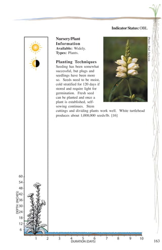163 
Indicator Status: OBL 
Nursery/Plant 
Information 
Available: Widely. 
Types: Plants. 
Planting Techniques 
Seeding has been somewhat 
successful, but plugs and 
seedlings have been more 
so. Seeds need to be moist, 
cold stratified for 120 days if 
stored and require light for 
germination. Fresh seed 
can be planted and once a 
plant is established, self-sowing 
continues. Stem 
cuttings and dividing plants work well. White turtlehead 
produces about 1,008,000 seeds/lb. [16] 
Photo: Paul Jackson 
 