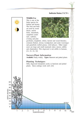 165 
Indicator Status: FACW+ 
Wildlife Use 
This is one of the 
better species for 
habitat and beauty. 
The fruit and buds 
are used by wood 
ducks, marsh 
birds, shorebirds, 
songbirds (cardi-nals, 
catbirds, 
evening and pine 
grosbeaks, kingbirds, robins, hermit and wood thrushes, 
common flickers, downy woodpeckers and cedar waxwings) 
and gamebirds (ruffed grouse, wild turkeys). Other major 
users are large and small mammals (deer, moose, rabbits 
and chipmunks). This dogwood is not edible to humans. 
[11, 21, 22, 32] 
Nursery/Plant Information 
Available: Fairly widely. Types: Bareroot and potted plants. 
Planting Techniques 
Silky dogwood transplants easily as bareroot and potted 
plants. Stem cuttings work well. [22] 
Photo: Dan Shaw 
 