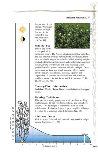 169 
Indicator Status: FACW 
fens as water levels 
change. When deer 
numbers are high, 
this species is 
reduced in size 
and abundance. 
[16, 36, 44] 
Wildlife Use 
This is one of the 
better species for 
habitat and beauty. The flowers attract common blue butterflies. 
The fruit and buds are used particularly by wood ducks, marsh 
birds, shorebirds, songbirds (cardinals, catbirds, evening and pine 
grosbeaks, kingbirds, robins, hermit and wood thrushes, common 
flickers, downy woodpeckers and cedar waxwings), and 
gamebirds (ruffed grouse, pheasants and wild turkeys). Other 
major users are large and small mammals (deer, moose, 
rabbits, beavers, woodchucks, raccoons, squirrels and 
chipmunks). It provides excellent warbler and American 
goldfinch habitat. Its fruit is not edible to humans. [7, 11, 
21, 22, 32, 37, 44] 
Nursery/Plant Information 
Available: Widely. Types: Bareroot and balled-and-burlapped 
plants. 
Planting Techniques 
This species is easily propagated with excellent seedling 
establishment. It will root from cuttings, and spreads by 
stolons. This technique is commonly used for bank 
stabilization. Red-osier dogwood grows rapidly, although 
it is slow to re-establish after disturbance. [22, 44] 
Additional Notes 
With its white fruit and pith, red-osier dogwood is unique 
among dogwoods. [11, 36] 
Photo: MNDNR 
 