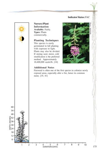 175 
Indicator Status: FAC 
Nursery/Plant 
Information 
Available: Fairly. 
Types: Plants 
commercially. 
Planting Techniques 
This species is easily 
germinated in fall planting 
with exposure to light. 
Plants may also be divided. 
If storing seed, moist, cold 
stratification is the preferred 
method. Approximately 
10,400,000 seeds/lb. [16] 
Additional Notes 
Fireweed is often one of the first species to colonize newly 
exposed areas, especially after a fire, hence its common 
name. [35, 41] 
Photo: MNDNR 
 