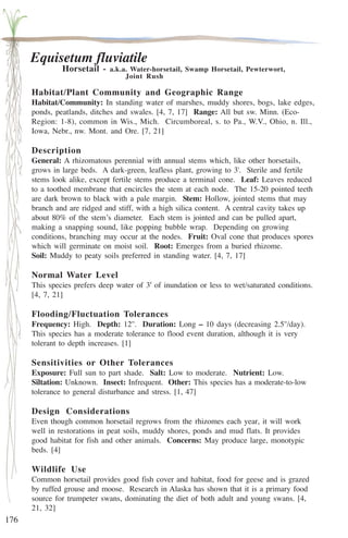 176 
Equisetum fluviatile 
Horsetail - a.k.a. Water-horsetail, Swamp Horsetail, Pewterwort, 
Joint Rush 
Habitat/Plant Community and Geographic Range 
Habitat/Community: In standing water of marshes, muddy shores, bogs, lake edges, 
ponds, peatlands, ditches and swales. [4, 7, 17] Range: All but sw. Minn. (Eco- 
Region: 1-8), common in Wis., Mich. Circumboreal, s. to Pa., W.V., Ohio, n. Ill., 
Iowa, Nebr., nw. Mont. and Ore. [7, 21] 
Description 
General: A rhizomatous perennial with annual stems which, like other horsetails, 
grows in large beds. A dark-green, leafless plant, growing to 3'. Sterile and fertile 
stems look alike, except fertile stems produce a terminal cone. Leaf: Leaves reduced 
to a toothed membrane that encircles the stem at each node. The 15-20 pointed teeth 
are dark brown to black with a pale margin. Stem: Hollow, jointed stems that may 
branch and are ridged and stiff, with a high silica content. A central cavity takes up 
about 80% of the stem’s diameter. Each stem is jointed and can be pulled apart, 
making a snapping sound, like popping bubble wrap. Depending on growing 
conditions, branching may occur at the nodes. Fruit: Oval cone that produces spores 
which will germinate on moist soil. Root: Emerges from a buried rhizome. 
Soil: Muddy to peaty soils preferred in standing water. [4, 7, 17] 
Normal Water Level 
This species prefers deep water of 3' of inundation or less to wet/saturated conditions. 
[4, 7, 21] 
Flooding/Fluctuation Tolerances 
Frequency: High. Depth: 12''. Duration: Long – 10 days (decreasing 2.5''/day). 
This species has a moderate tolerance to flood event duration, although it is very 
tolerant to depth increases. [1] 
Sensitivities or Other Tolerances 
Exposure: Full sun to part shade. Salt: Low to moderate. Nutrient: Low. 
Siltation: Unknown. Insect: Infrequent. Other: This species has a moderate-to-low 
tolerance to general disturbance and stress. [1, 47] 
Design Considerations 
Even though common horsetail regrows from the rhizomes each year, it will work 
well in restorations in peat soils, muddy shores, ponds and mud flats. It provides 
good habitat for fish and other animals. Concerns: May produce large, monotypic 
beds. [4] 
Wildlife Use 
Common horsetail provides good fish cover and habitat, food for geese and is grazed 
by ruffed grouse and moose. Research in Alaska has shown that it is a primary food 
source for trumpeter swans, dominating the diet of both adult and young swans. [4, 
21, 32] 
 