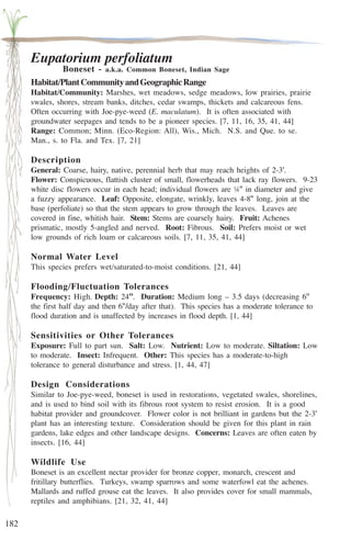 182 
Eupatorium perfoliatum 
Boneset - a.k.a. Common Boneset, Indian Sage 
Habitat/Plant Community and Geographic Range 
Habitat/Community: Marshes, wet meadows, sedge meadows, low prairies, prairie 
swales, shores, stream banks, ditches, cedar swamps, thickets and calcareous fens. 
Often occurring with Joe-pye-weed (E. maculatum). It is often associated with 
groundwater seepages and tends to be a pioneer species. [7, 11, 16, 35, 41, 44] 
Range: Common; Minn. (Eco-Region: All), Wis., Mich. N.S. and Que. to se. 
Man., s. to Fla. and Tex. [7, 21] 
Description 
General: Coarse, hairy, native, perennial herb that may reach heights of 2-3'. 
Flower: Conspicuous, flattish cluster of small, flowerheads that lack ray flowers. 9-23 
white disc flowers occur in each head; individual flowers are ¼'' in diameter and give 
a fuzzy appearance. Leaf: Opposite, elongate, wrinkly, leaves 4-8'' long, join at the 
base (perfoliate) so that the stem appears to grow through the leaves. Leaves are 
covered in fine, whitish hair. Stem: Stems are coarsely hairy. Fruit: Achenes 
prismatic, mostly 5-angled and nerved. Root: Fibrous. Soil: Prefers moist or wet 
low grounds of rich loam or calcareous soils. [7, 11, 35, 41, 44] 
Normal Water Level 
This species prefers wet/saturated-to-moist conditions. [21, 44] 
Flooding/Fluctuation Tolerances 
Frequency: High. Depth: 24''. Duration: Medium long – 3.5 days (decreasing 6'' 
the first half day and then 6''/day after that). This species has a moderate tolerance to 
flood duration and is unaffected by increases in flood depth. [1, 44] 
Sensitivities or Other Tolerances 
Exposure: Full to part sun. Salt: Low. Nutrient: Low to moderate. Siltation: Low 
to moderate. Insect: Infrequent. Other: This species has a moderate-to-high 
tolerance to general disturbance and stress. [1, 44, 47] 
Design Considerations 
Similar to Joe-pye-weed, boneset is used in restorations, vegetated swales, shorelines, 
and is used to bind soil with its fibrous root system to resist erosion. It is a good 
habitat provider and groundcover. Flower color is not brilliant in gardens but the 2-3' 
plant has an interesting texture. Consideration should be given for this plant in rain 
gardens, lake edges and other landscape designs. Concerns: Leaves are often eaten by 
insects. [16, 44] 
Wildlife Use 
Boneset is an excellent nectar provider for bronze copper, monarch, crescent and 
fritillary butterflies. Turkeys, swamp sparrows and some waterfowl eat the achenes. 
Mallards and ruffed grouse eat the leaves. It also provides cover for small mammals, 
reptiles and amphibians. [21, 32, 41, 44] 
 