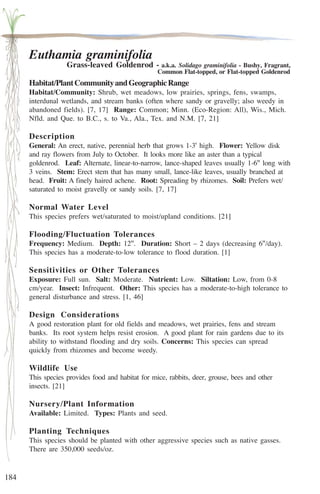 184 
Euthamia graminifolia 
Grass-leaved Goldenrod - a.k.a. Solidago graminifolia - Bushy, Fragrant, 
Common Flat-topped, or Flat-topped Goldenrod 
Habitat/Plant Community and Geographic Range 
Habitat/Community: Shrub, wet meadows, low prairies, springs, fens, swamps, 
interdunal wetlands, and stream banks (often where sandy or gravelly; also weedy in 
abandoned fields). [7, 17] Range: Common; Minn. (Eco-Region: All), Wis., Mich. 
Nfld. and Que. to B.C., s. to Va., Ala., Tex. and N.M. [7, 21] 
Description 
General: An erect, native, perennial herb that grows 1-3' high. Flower: Yellow disk 
and ray flowers from July to October. It looks more like an aster than a typical 
goldenrod. Leaf: Alternate, linear-to-narrow, lance-shaped leaves usually 1-6'' long with 
3 veins. Stem: Erect stem that has many small, lance-like leaves, usually branched at 
head. Fruit: A finely haired achene. Root: Spreading by rhizomes. Soil: Prefers wet/ 
saturated to moist gravelly or sandy soils. [7, 17] 
Normal Water Level 
This species prefers wet/saturated to moist/upland conditions. [21] 
Flooding/Fluctuation Tolerances 
Frequency: Medium. Depth: 12''. Duration: Short – 2 days (decreasing 6''/day). 
This species has a moderate-to-low tolerance to flood duration. [1] 
Sensitivities or Other Tolerances 
Exposure: Full sun. Salt: Moderate. Nutrient: Low. Siltation: Low, from 0-8 
cm/year. Insect: Infrequent. Other: This species has a moderate-to-high tolerance to 
general disturbance and stress. [1, 46] 
Design Considerations 
A good restoration plant for old fields and meadows, wet prairies, fens and stream 
banks. Its root system helps resist erosion. A good plant for rain gardens due to its 
ability to withstand flooding and dry soils. Concerns: This species can spread 
quickly from rhizomes and become weedy. 
Wildlife Use 
This species provides food and habitat for mice, rabbits, deer, grouse, bees and other 
insects. [21] 
Nursery/Plant Information 
Available: Limited. Types: Plants and seed. 
Planting Techniques 
This species should be planted with other aggressive species such as native gasses. 
There are 350,000 seeds/oz. 
 
