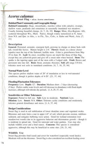 78 
Acorus calamus 
Sweet Flag - a.k.a. Acorus americanus 
Habitat/Plant Community and Geographic Range 
Habitat/Community: Bogs, streambanks, marshes (often with cattails), swamps, 
shallow water, peatlands and sometimes in seasonally inundated wet meadows. 
Usually forming beautiful clumps. [4, 7, 16, 35] Range: Minn. (Eco-Regions: All), 
scattered throughout Wis., Mich. Native, though widely naturalized in N. Amer. 
from N.S. and Que. to Alta., s. to Fla., Tex., Colo., n. Idaho and Wash.; Asia. [7, 
21] 
Description 
General: Perennial, aromatic, emergent herb, growing in clumps or dense beds with 
tall, sword-like leaves. Mature height is 2-6'. Flower: Small, in a dense cluster 
(spadix) near the top of the flattened, leaflike stem. Color is green/brown from May 
25 to June 30. Leaf: Its erect, swordlike leaves are much like those of blue flag, 
except they are yellowish-green and give off a sweet odor when bruised. Stem: The 
spathe is the tapering upper part of the stem with a 2-edged stalk. Fruit: Brown and 
persistent into late fall. Root: Stout, aromatic rhizomes. Soil: pH range 5.9-8.8; 
tolerates most wet soils in inundated conditions. [4, 7, 16, 35, 44] 
Normal Water Level 
This species prefers shallow water of 20'' of inundation or less to wet/saturated 
conditions, though it prefers depths of 6-20''. [21, 37, 44] 
Flooding/Fluctuation Tolerances 
Frequency: Low. Depth: 12''. Duration: Medium short – 3 days (decreasing 
4''/day). Prefers stable water levels and will decrease in abundance with flood depth 
increases, although will tolerate dry periods. [1, 6, 29, 37, 44] 
Sensitivities or Other Tolerances 
Exposure: Partial to full sun. Salt: Low to moderate. Nutrient: Low. 
Siltation: Low. Insect: N/A. Other: Tolerates acidic conditions and moderately 
tolerates general disturbance and stress. [1, 6, 37, 44] 
Design Considerations 
Sweet flag is used in soil stabilization of lower shoreline zones and vegetated swales. 
Rhizomes and roots form a mat in upper 4-8'' of soil, which prevents erosion, stabilizes 
sediment, and mitigates buffering wave action. Good for wetland restoration (wet 
meadow/wet woods) due to its aggressive behavior and rhizomatous growth – though it 
is moderate in spread rate. Good for rainwater and water gardens. Uses may also 
include wildlife cover and a food source. Concerns: This species is considered 
aggressive, although this may be beneficial to some sites. [16, 21, 44] 
Wildlife Use 
Sweet flag provides food (seed) and cover for waterfowl (especially wood ducks). 
Muskrats will eat the rhizomes. Sweet flag is also considered an excellent feeding cover 
 