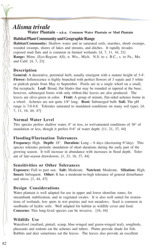 82 
Alisma trivale 
Water Plantain - a.k.a. Common Water Plantain or Mud Plantain 
Habitat/Plant Community and Geographic Range 
Habitat/Community: Shallow water and in saturated soils, marshes, shrub swamps, 
wooded swamps, shores of lakes and streams, and ditches. It rapidly invades 
exposed mud flats and is common in farmed wetlands. [4, 7, 11, 16, 21] 
Range: Minn. (Eco-Region: All), n. Wis., Mich. N.S. to s. B.C., s. to Pa., Mo. 
and Calif. [4, 7, 21] 
Description 
General: A decorative, perennial herb, usually emergent with a mature height of 3-4'. 
Flower: Inflorescence is highly branched with perfect flowers of 3 sepals and 3 white 
or pinkish petals from May to September. Pistils are in a single whorl on a small, 
flat receptacle. Leaf: Broad, flat blades that may be rounded or tapered at the base; 
however, submerged forms with only ribbon-like leaves are also produced. The 
leaves are olive-green in color. Fruit: A group of minute, flat-sided achenes borne in 
a whorl. Achenes are not quite 1/8'' long. Root: Submerged bulb. Soil: The pH 
range is 7.0-8.8. Tolerates saturated to inundated conditions on many soil types. [4, 
7, 11, 16, 44, 47] 
Normal Water Level 
This species prefers shallow water, 6'' or less, to wet/saturated conditions of 36'' of 
inundation or less, though it prefers 0-6'' of water depth. [11, 21, 37, 44] 
Flooding/Fluctuation Tolerances 
Frequency: High. Depth: 18''. Duration: Long – 6 days (decreasing 6''/day). This 
species tolerates periodic inundation of short durations during the early part of the 
growing season. It will increase in abundance with increases in flood depth. Toler-ant 
of late-season drawdowns. [1, 21, 16, 37, 44] 
Sensitivities or Other Tolerances 
Exposure: Full to part sun. Salt: Moderate. Nutrient: Moderate. Siltation: High. 
Insect: Infrequent. Other: It has a moderate-to-high tolerance of general disturbance 
and stress. [1, 44, 47] 
Design Considerations 
Water plantain is well adapted for use in upper and lower shoreline zones, for 
streambank stabilization, and in vegetated swales. It is also well suited for restora-tions 
of wetlands, low spots in wet prairies and wet meadows. Seed is common in 
seedbanks of hydric soils. Well adapted for habitat as wildlife cover and food. 
Concerns: This long-lived species can be invasive. [16, 44] 
Wildlife Use 
Waterfowl (mallard, pintail, scaup, blue-winged and green-winged teal), songbirds, 
pheasants and rodents eat the achenes and tubers. Plants provide shade for fish. 
Rabbits and deer sometimes eat the leaves. The leaves also provide an excellent 
 